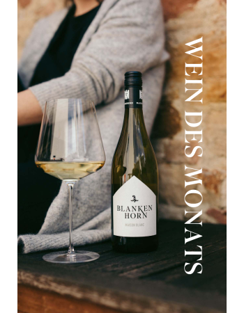 Wein des Monats Juli - Maison Blanc Cuvée weiß