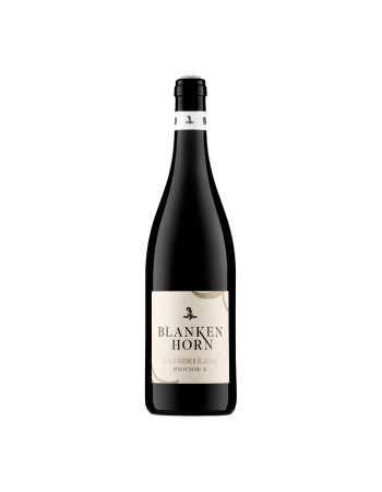 Schliengener Ölacker Pinot Noir