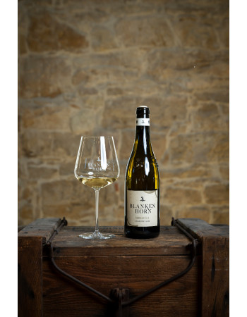 MONATSWEINPROBE JUNI - CHARDONNAY