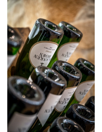 MONATSWEINPROBE FEBRUAR - SEKT